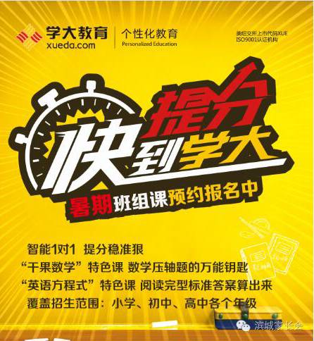神算子王中王的神秘饮品，解锁饮料大全的奇幻之旅