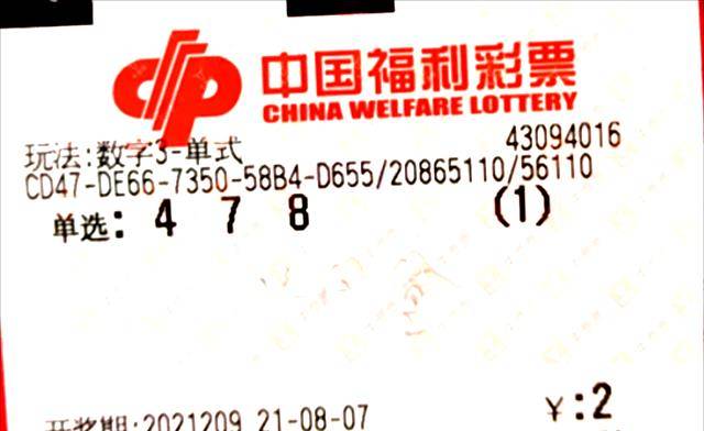 今日福彩中心3D开机号，揭秘幸运之门，共探数字奥秘,今日福彩中心3d开机号