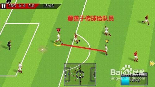 策略应用