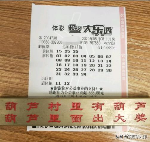 探索双色球胆拖票的奥秘，一张图片背后的智慧与策略,双色球胆拖票图片