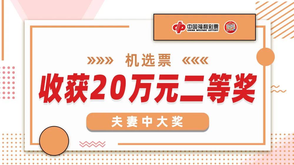 福建福利彩票双色球玩法，梦想与幸运的交汇点,福建福利彩票双色球玩法
