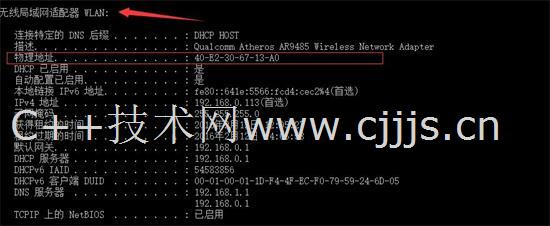 4876香港管家婆，虚构与现实的交织,4887香港管家婆开奖结果小说