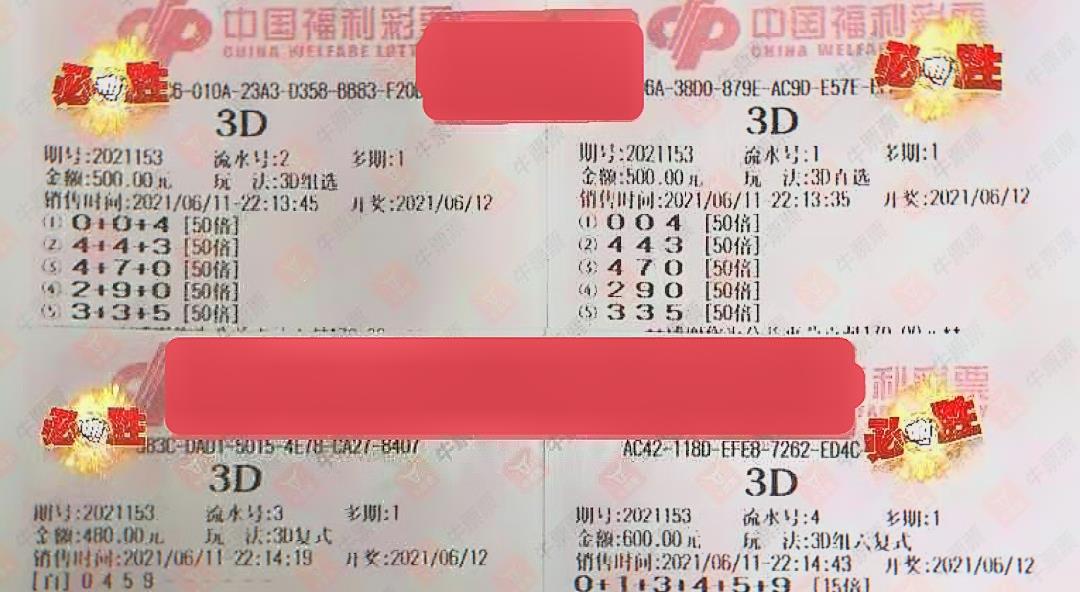 澳门码今晚开什么特马，揭秘背后的概率与乐趣并存的世界,澳门码今晚开什么特马