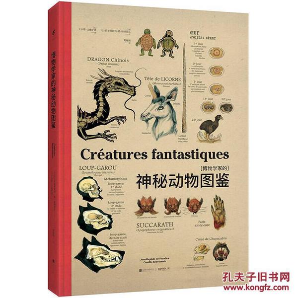 今晚特马，揭秘生肖开奖的神秘面纱,今晚特马开的哪个生肖