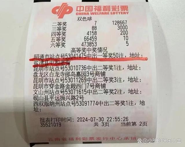 揭秘小宋双色球开奖结果，幸运的数字与概率的艺术,小宋双色球开奖结果
