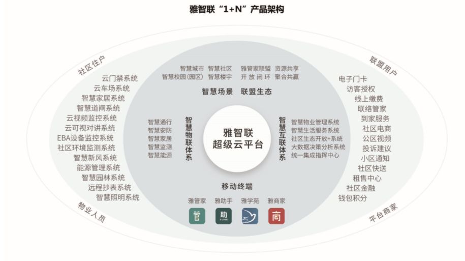 探索三肖期的奥秘，揭秘彩票投注中的智慧与策略,三肖期期中