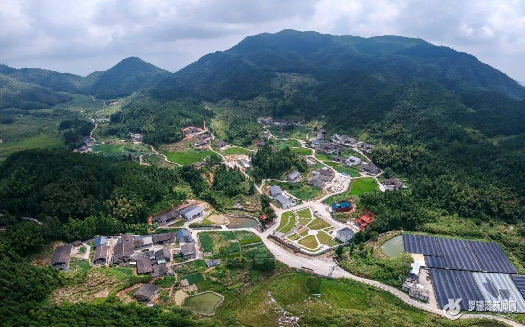 乡村振兴