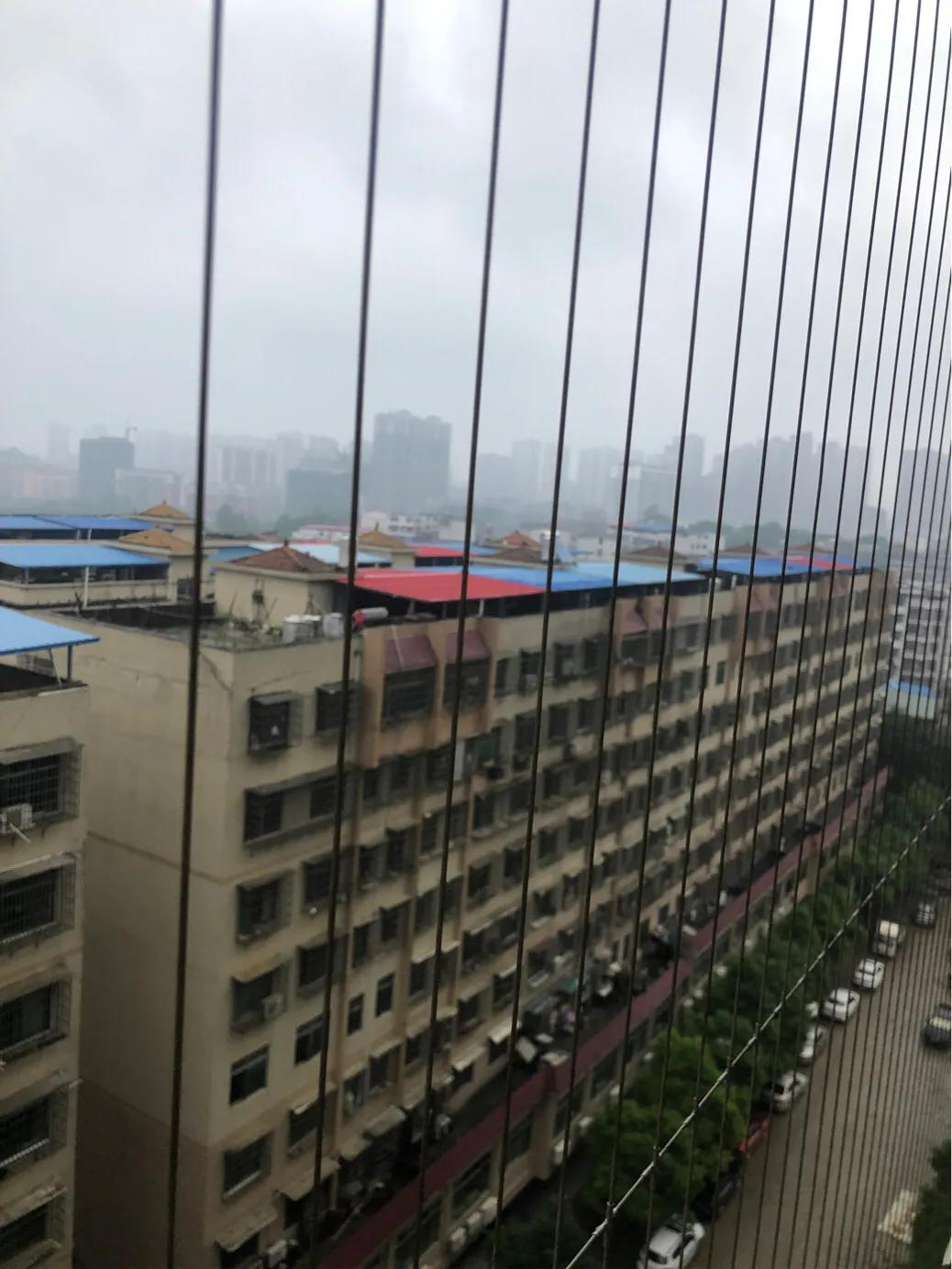 揭秘香港现场开奖结果，公正、透明与科技的力量,香港现场开奖结果