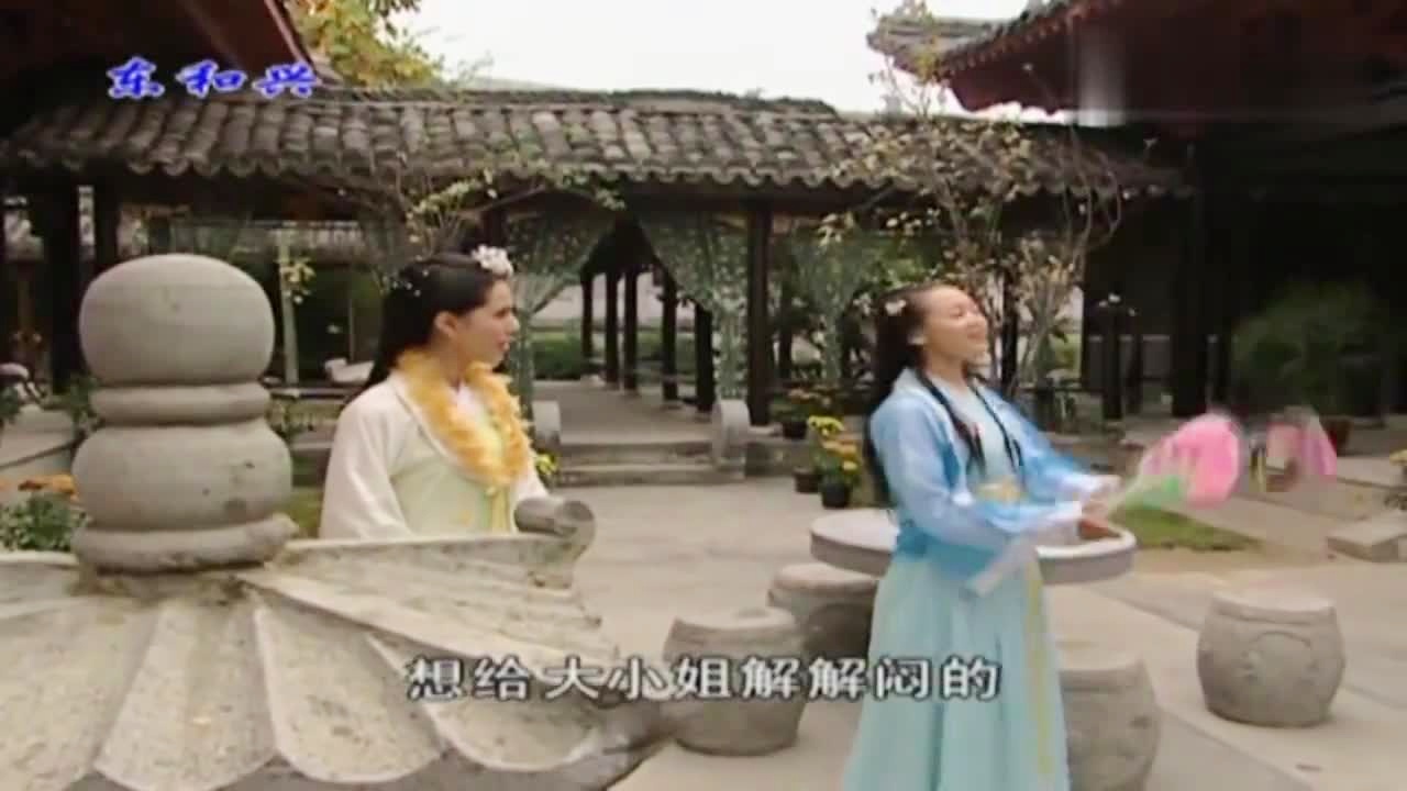 刘伯温白小姐期期准准
