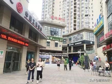 钱多多心水论坛，理财新风尚的智慧集结地,钱多多心水论坛