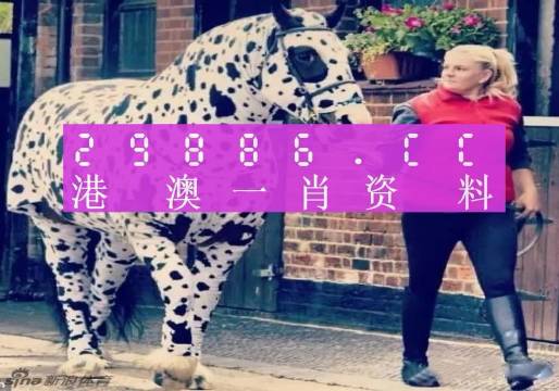 澳门彩，揭秘今晚的幸运数字,494949澳门今晚开什么