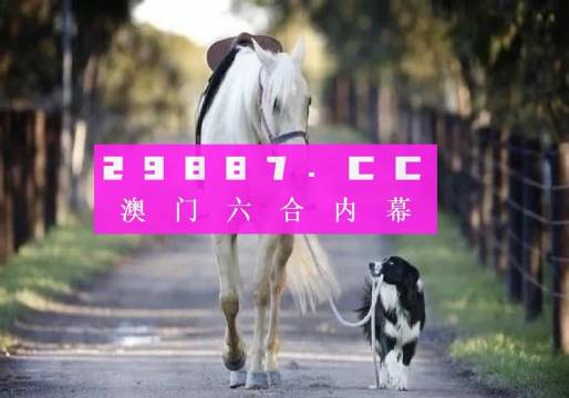 49码资料图库，解锁数字时代的秘密宝箱,49码资料图库