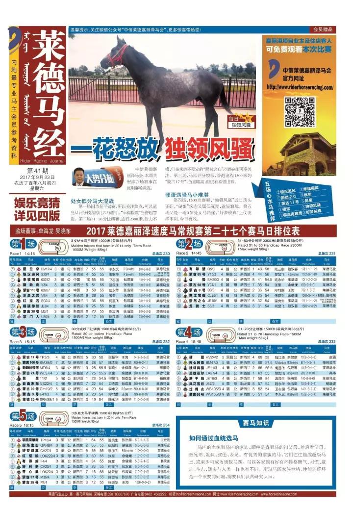 马会传真论坛，免费资料公开的智慧源泉,马会传真论坛免费资料公开