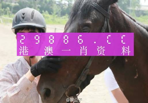 2046年香港开奖结果记录，透视未来彩票文化的演变与影响,2024年香港开奖结果记录