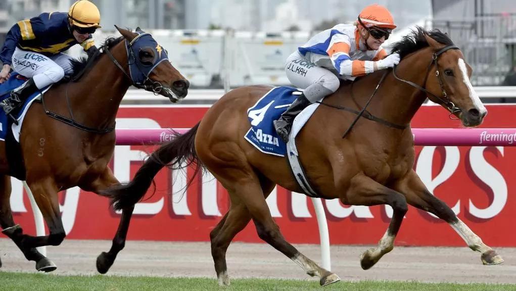 探索香港正版马会精选资料大全，揭秘赛马的智慧与魅力,香港正版马会精选资料大全