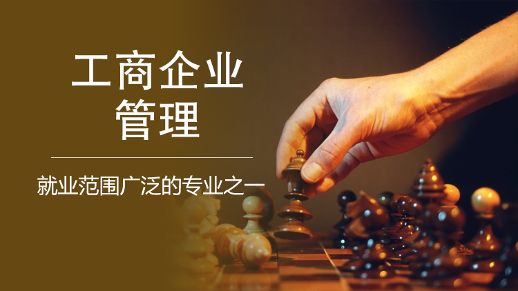 探索期四肖选一的奥秘，理性与智慧的博弈,期期四肖选一肖