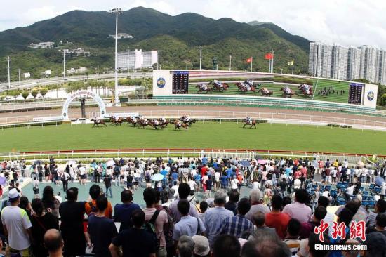 2018香港马会全年资料大全，回顾与展望,2018香港马会全年资枓大全