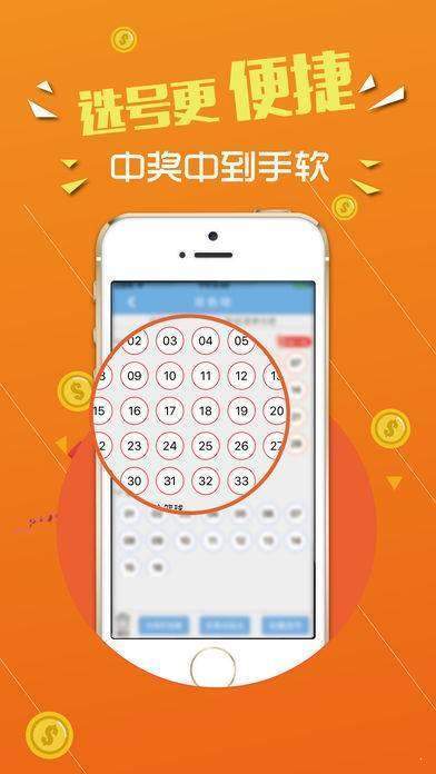 探索数字的奥秘，487王中王的鉄算盘与12月5日开奖结果,4887王中王鉄算盘开奖结果118