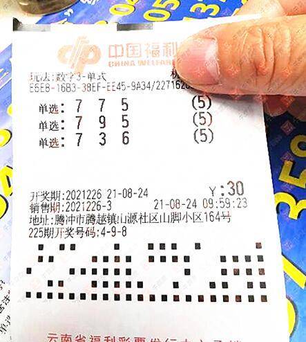 2048年，管家婆一肖中特—未来彩票的神秘预言,2024年管家婆一肖中特