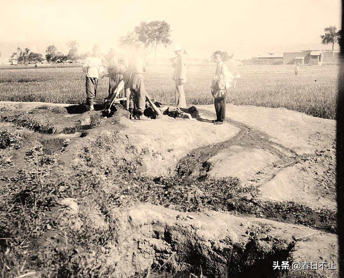 探索香港近50年历史记录的辉煌与变迁—全面汇总,香港近50期历史记录大全汇总