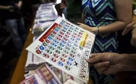 2036年，回望与展望—香港历史开奖记录的变迁,2023香港历史开奖记录