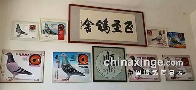 探秘黄大仙管家婆资料大全，传统信仰与现代生活的奇妙融合,黄大仙管家婆资料大全