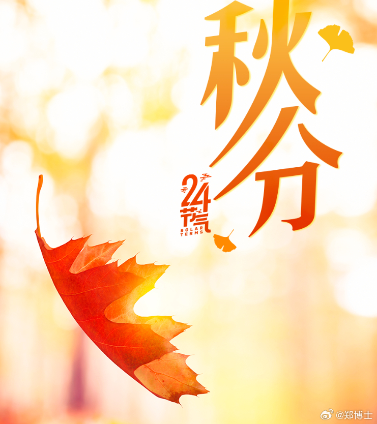 2019年马会免费资料，一场未雨绸缪的智慧之选,2019年马会免费资料