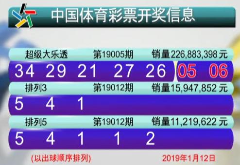 澳门彩今日开奖结果揭秘，探寻幸运的奥秘,新澳门彩今天开什么查询