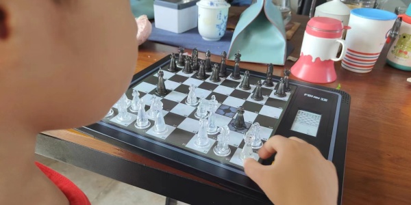 365作文枓棋网，点亮创意与灵感的火花,365作文枓棋网
