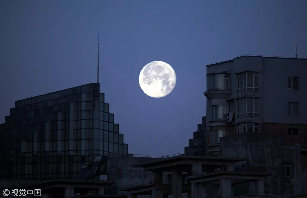 蓝月亮下的免费资料盛宴，2019年天下彩的全面解析,蓝月亮天下彩免费资枓大全年