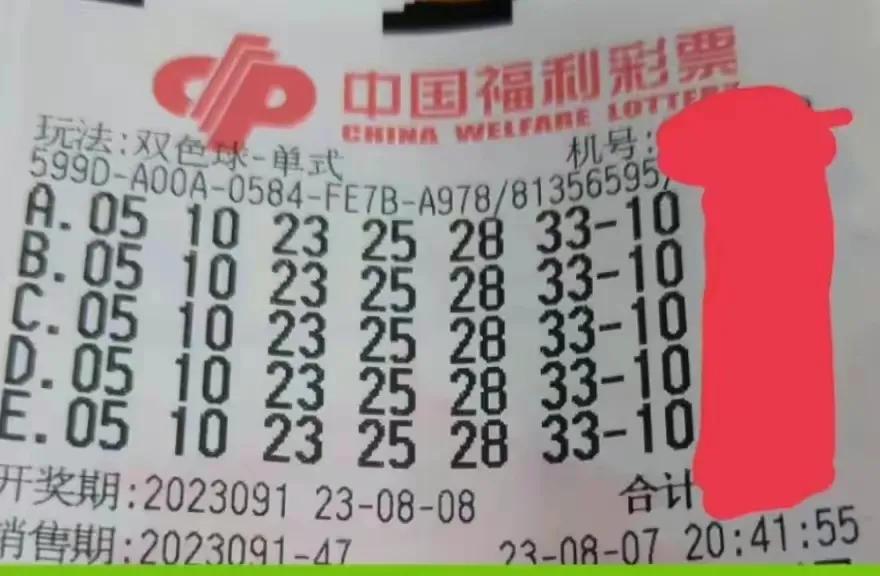 6合开奖记录，透视数字背后的奥秘,6合开奖记录