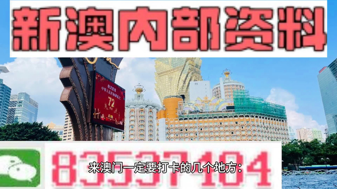 2049年澳门免费资料查询，未来趋势与信息获取新路径,2024年澳门免费资料查询结果
