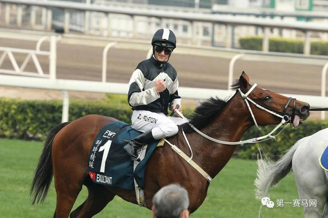 探索香港马会网站，一站式赛事体验与公益并进的数字平台,香港马会网站