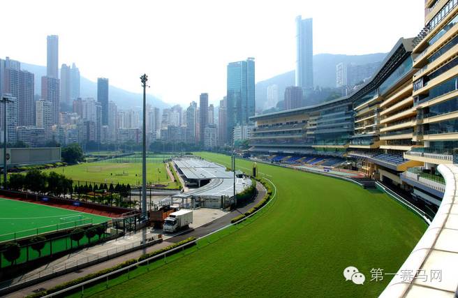 2019香港马会全年资料大全，赛场风云与慈善盛举的年度回顾,2019香港马会全年资枓大全