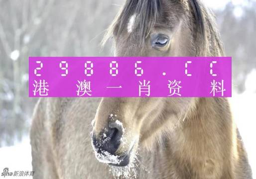 澳门赌博