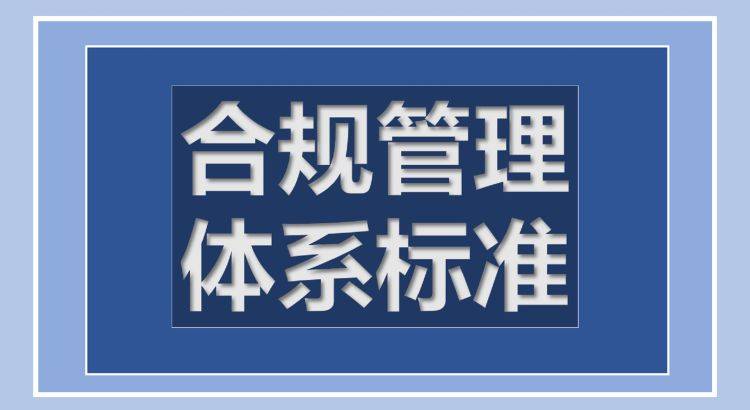管家婆20-4新澳正版资料，重塑企业管理的未来,管家婆2024新澳正版资料