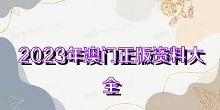 2036年，管家婆资料正版大全的未来展望,2023管家婆资料正版大全