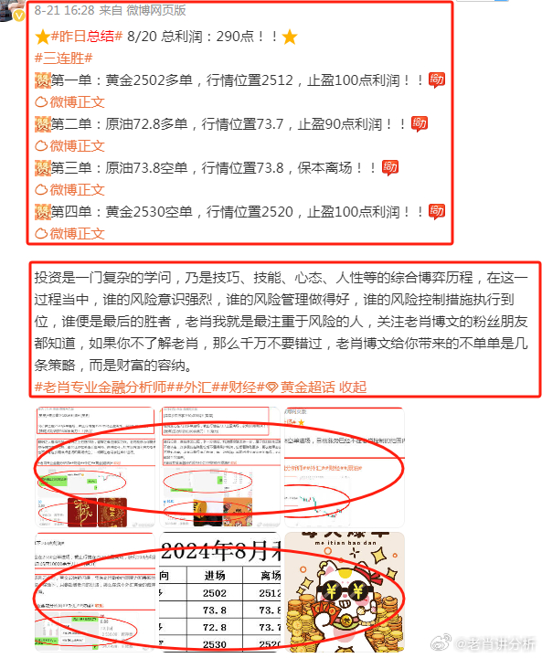 2046年，管家婆的马资料—未来赛马的智慧之选,2024年管家婆的马资料