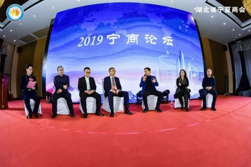 火凤凰高手论坛，网络时代的智慧碰撞与成长之旅,火凤凰高手论坛