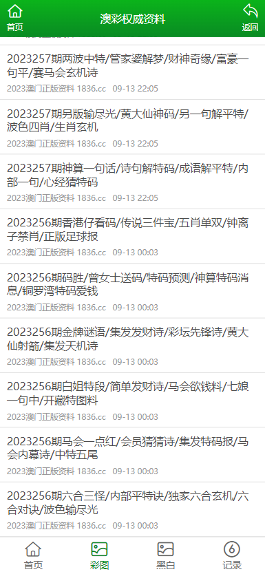 管家婆203，正版资料的力量与未来展望,管家婆2023正版资料