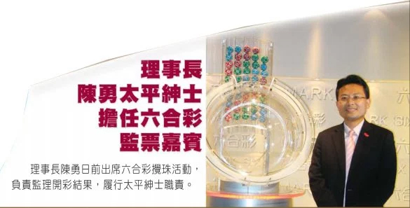 探索香港开奖结果记录的完整版，历史、透明与未来,香港开奖结果记录完整版
