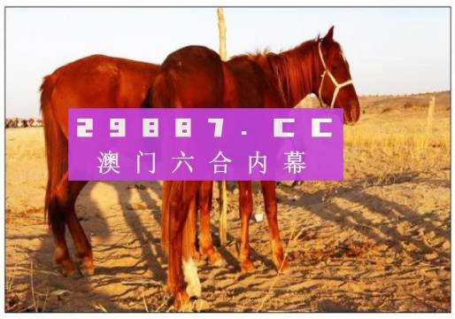 今晚六开彩，揭秘神秘的开奖结果与查询之道,今晚六开彩开奖结果 开奖结果查询