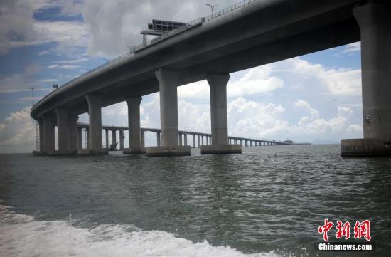 2035年澳门精准资料大全，未来博彩业的数字化与智能化趋势,2023澳门精准正版资料大全